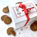Gingersnap Cookie Gift Box. Cancer Patient Care Package