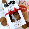 Classic Theme - The Cookie Cure Book & gingersnap gift set