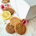 Spring Cookie Collection Grand Box filled with 60 gingersnaps: original, lemon, toasted coconut