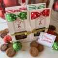 Christmas Cookie Custom 4-Pack of Gingersnap Cookies Gift Set